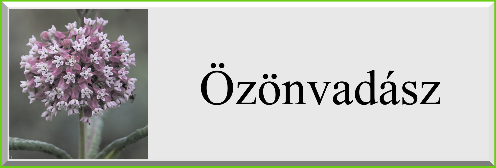 ozonvadasz